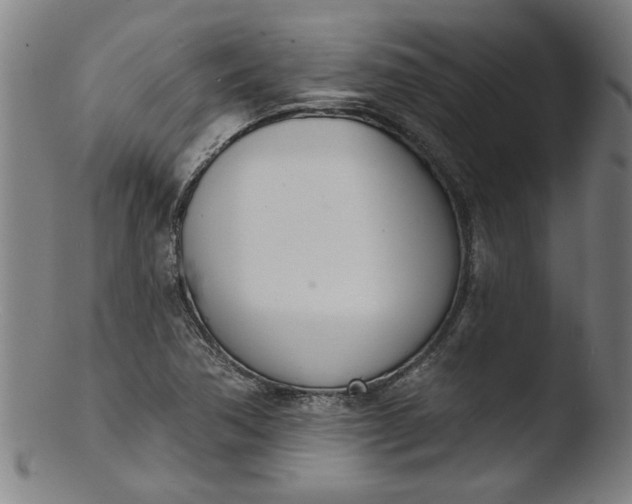 X0000103421362200809261657