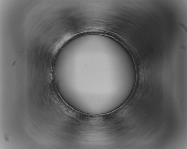 X0000103421363200809261657
