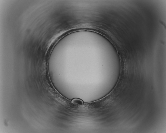 X0000103421364200809261657