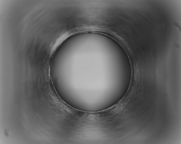 X0000103421365200809261657