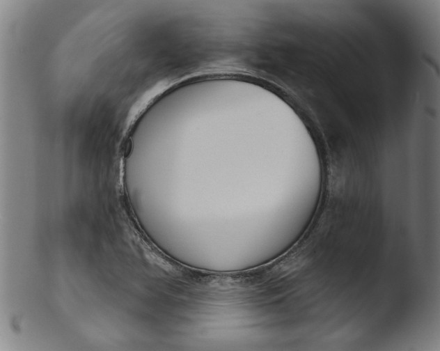 X0000103421366200809261657