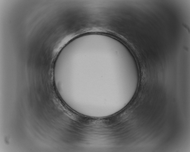 X0000103421367200809261657