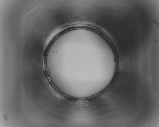 X0000103421368200809261657
