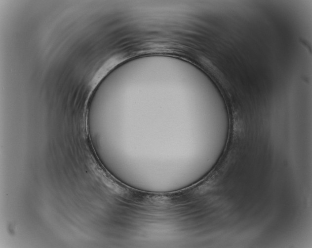 X0000103421370200809261657