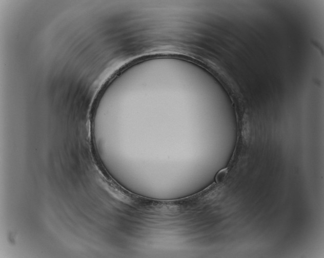 X0000103421372200809261657