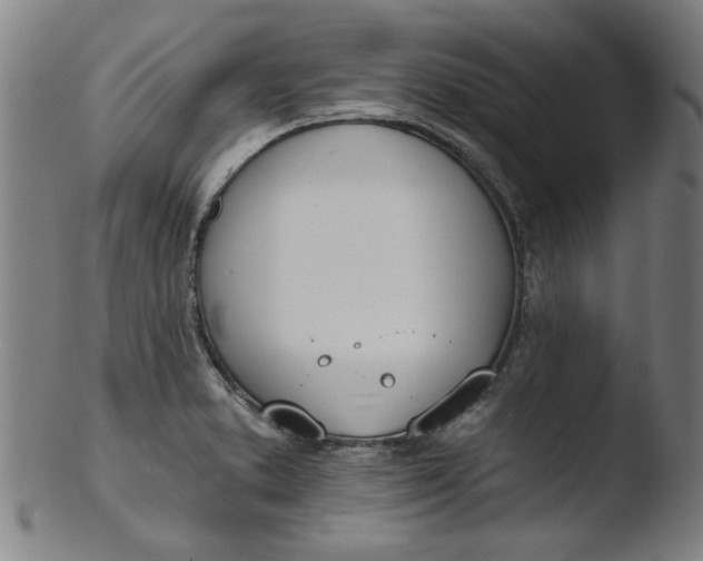 X0000103421373200809261657