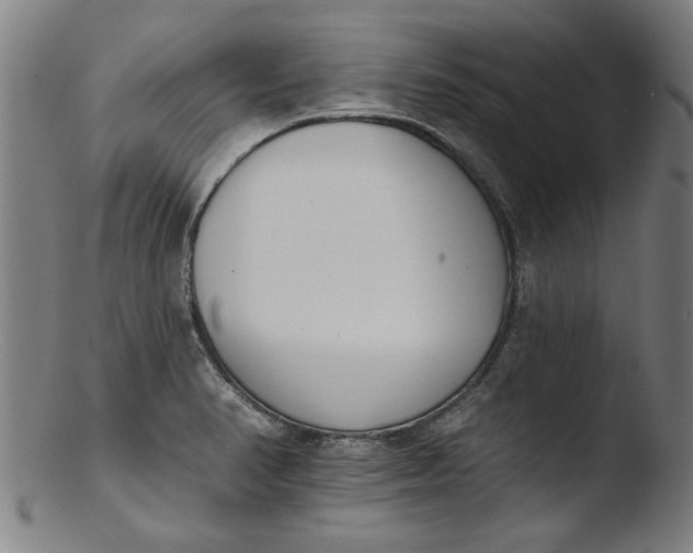 X0000103421374200809261657
