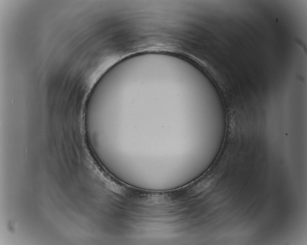 X0000103421375200809261657