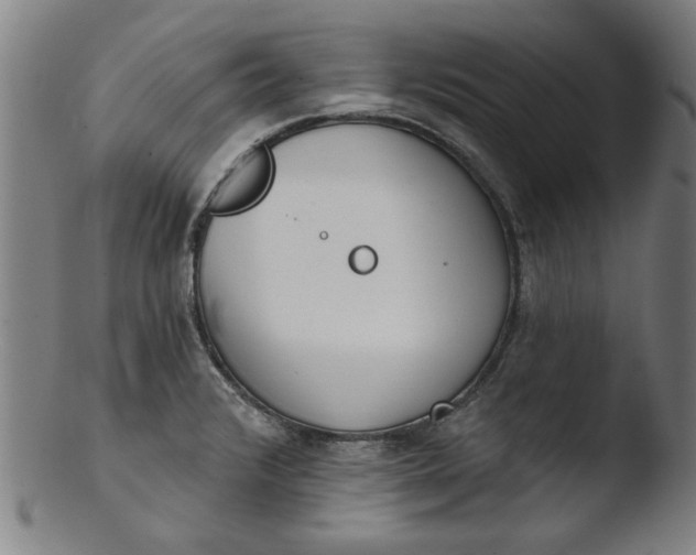 X0000103421376200809261657