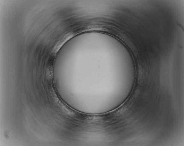 X0000103421377200809261657