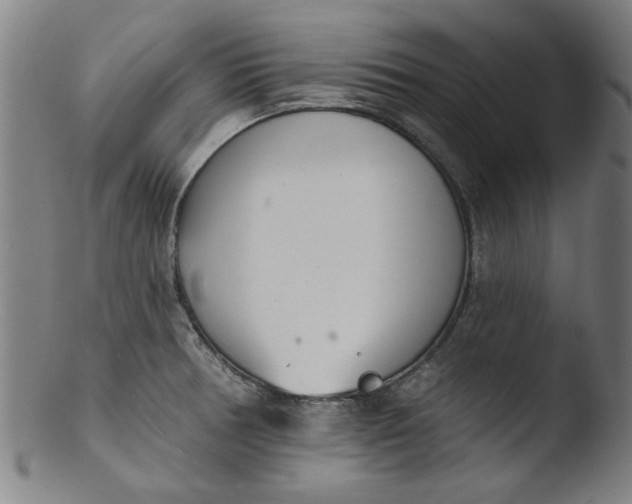 X0000103421378200809261657