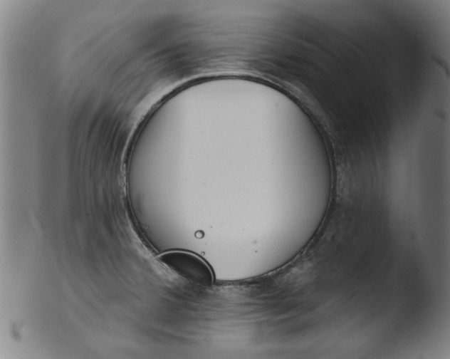X0000103421380200809261657