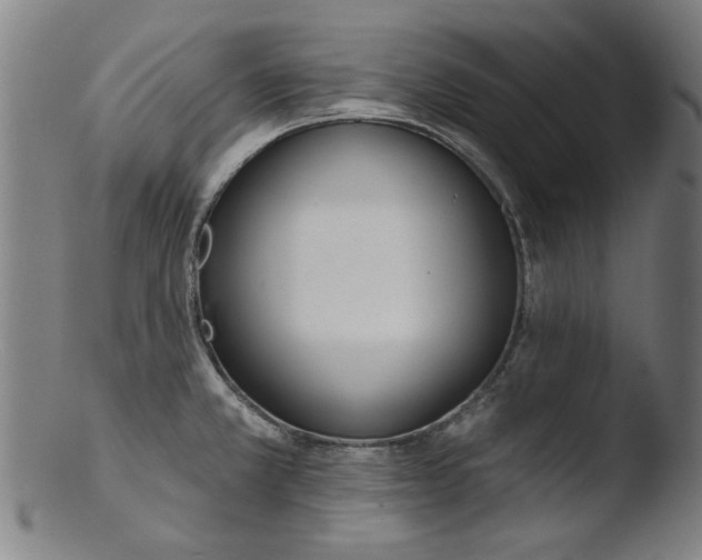 X0000103421381200809261657