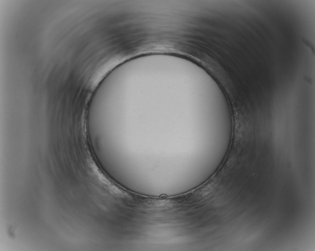 X0000103421382200809261657