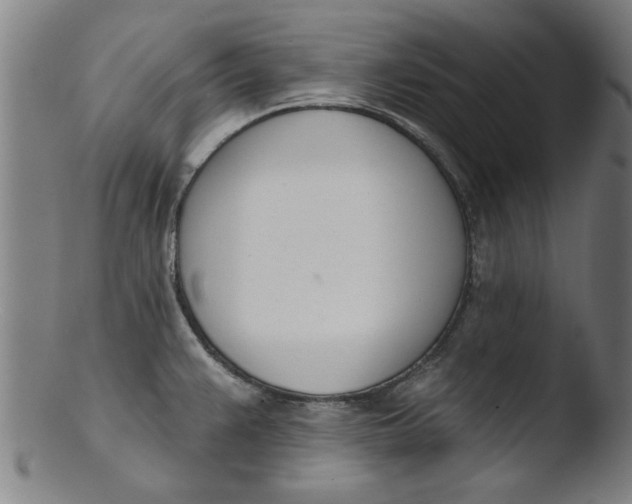 X0000103421383200809261657