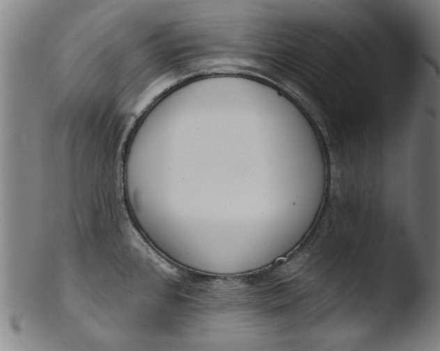 X0000103421384200809261657