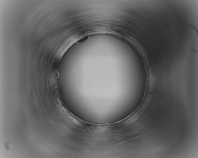 X0000103421385200809261657