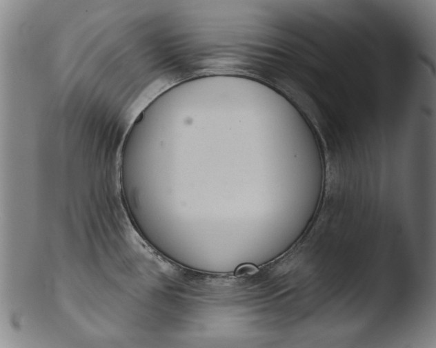 X0000103421386200809261657