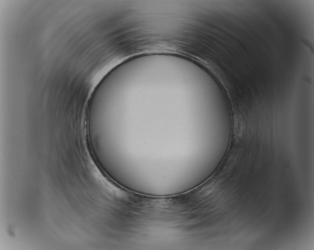 X0000103421387200809261657