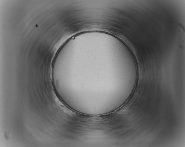 X0000103421388200809261657