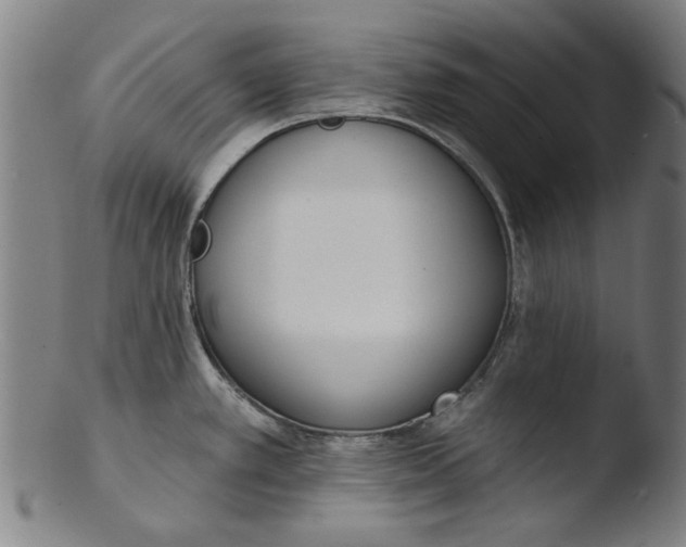 X0000103421389200809261657