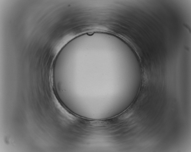 X0000103421391200809261657