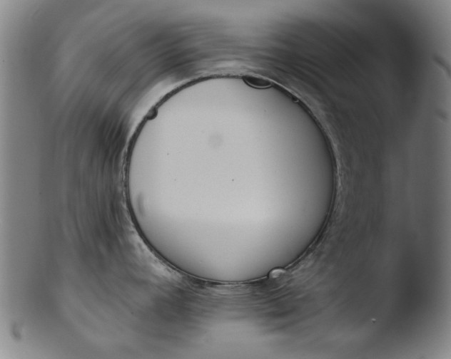 X0000103421392200809261656