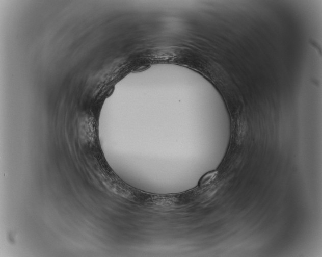X0000103421394200809261656