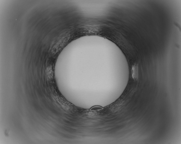 X0000103421395200809261656