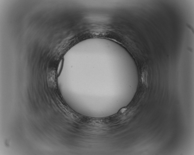 X0000103421396200809261656