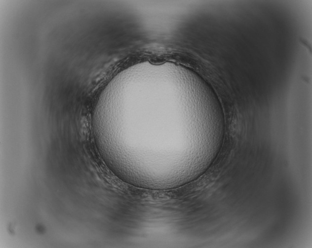 X0000103421397200809261656