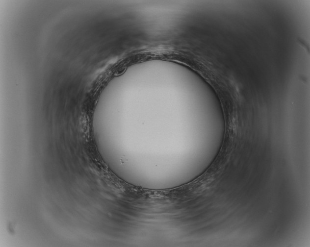 X0000103421398200809261656