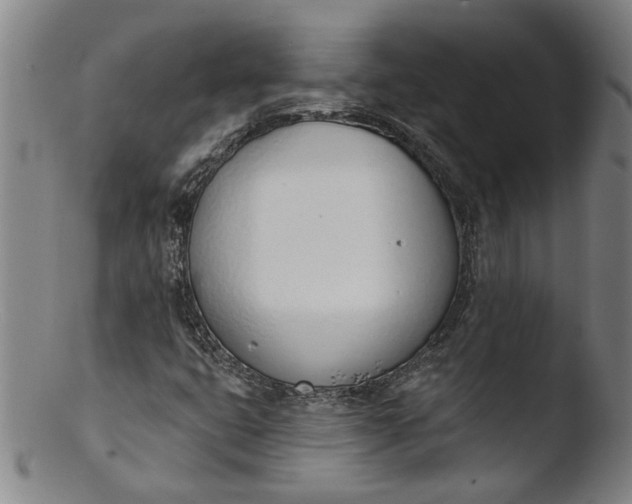 X0000103421399200809261656