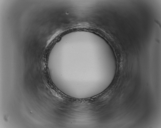 X0000103421400200809261656