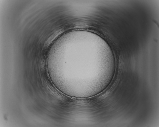 X0000103421401200809261656