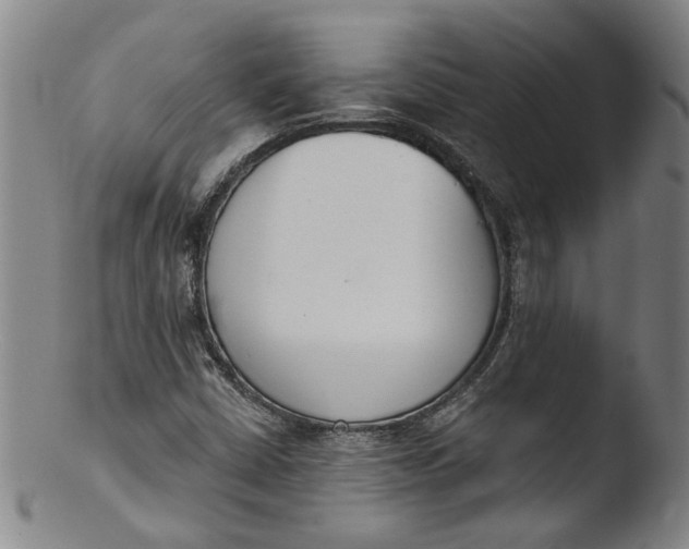 X0000103421402200809261656