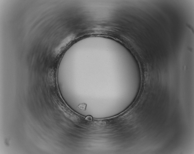 X0000103421403200809261656