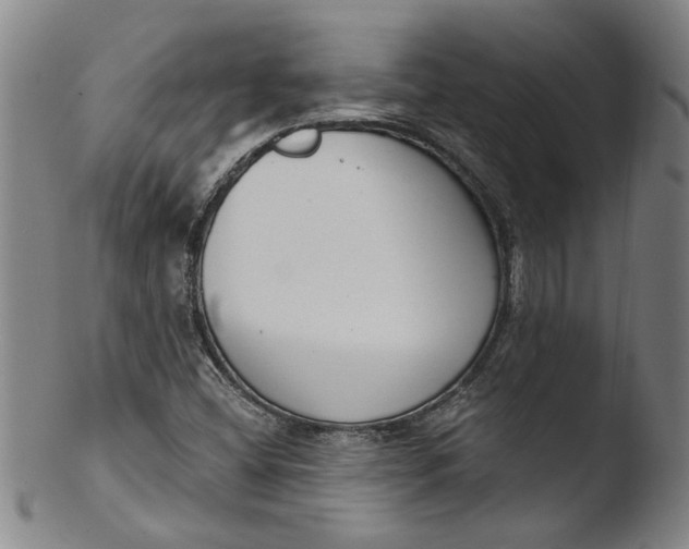 X0000103421404200809261656