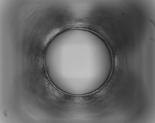 X0000103421405200809261656