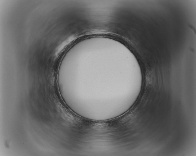 X0000103421406200809261656
