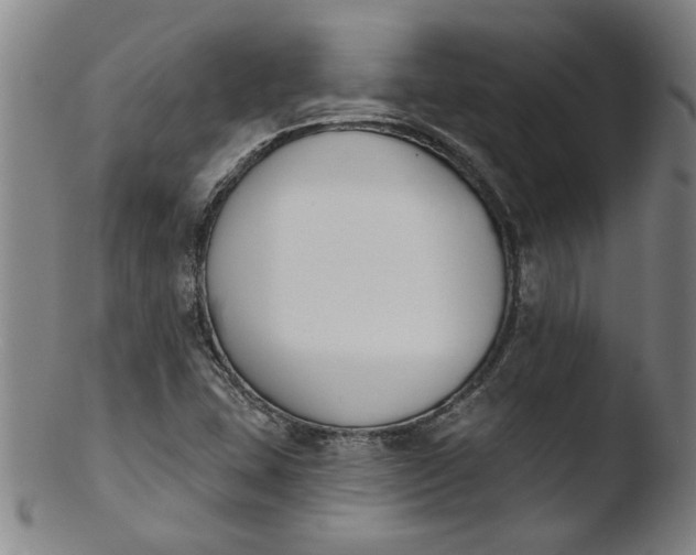 X0000103421407200809261656
