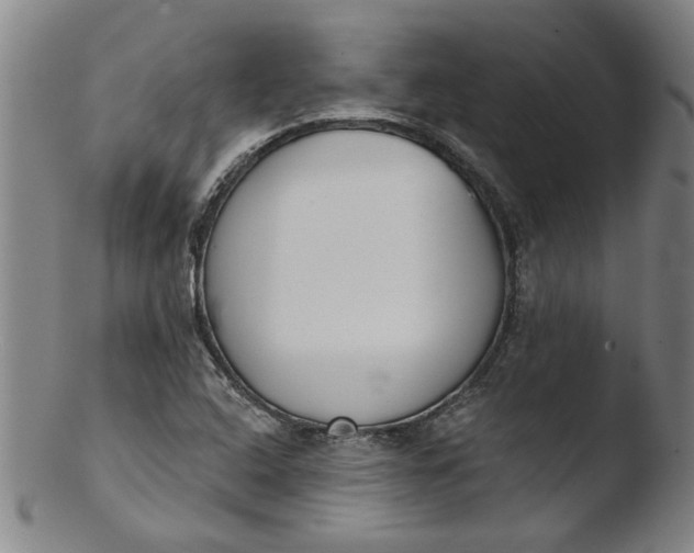 X0000103421408200809261656