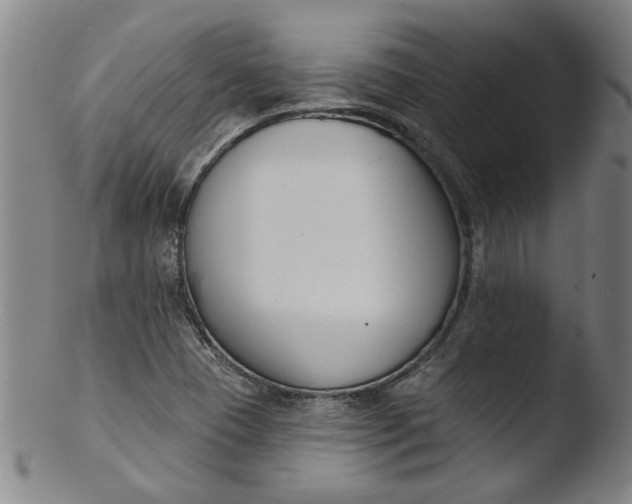 X0000103421409200809261656