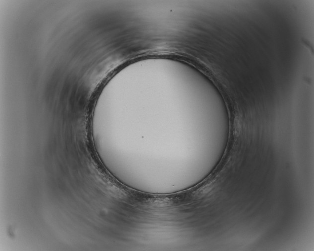 X0000103421410200809261656
