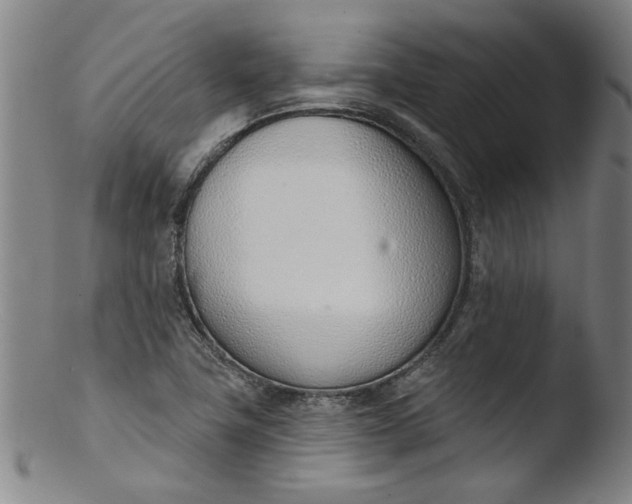 X0000103421411200809261656