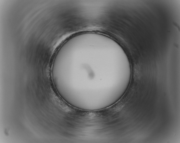 X0000103421412200809261656