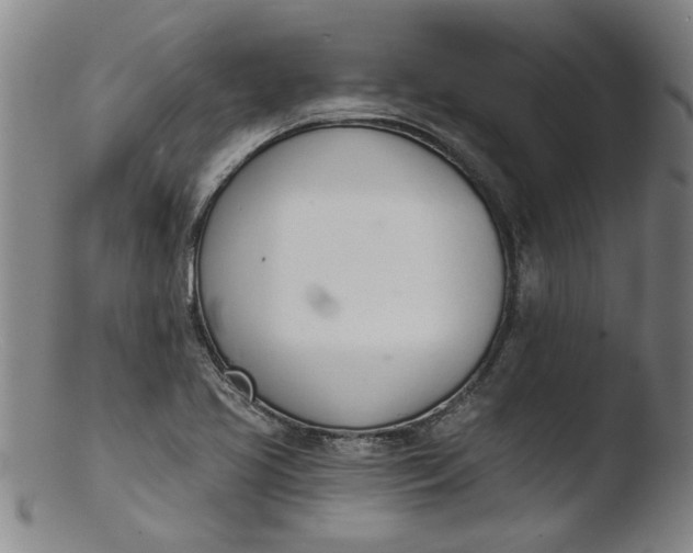 X0000103421413200809261656