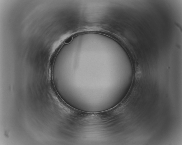 X0000103421414200809261656