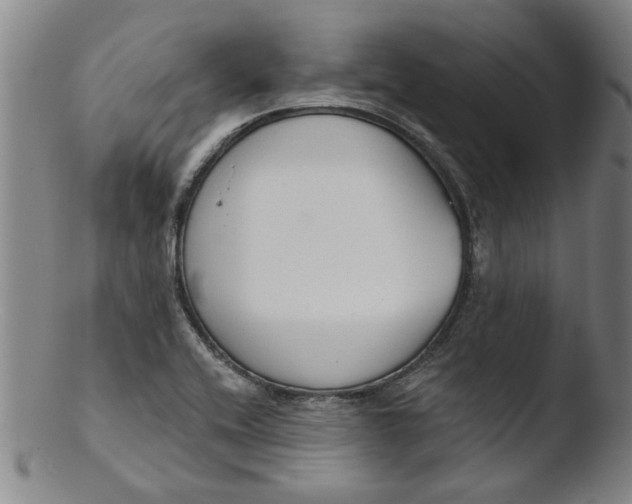 X0000103421416200809261656
