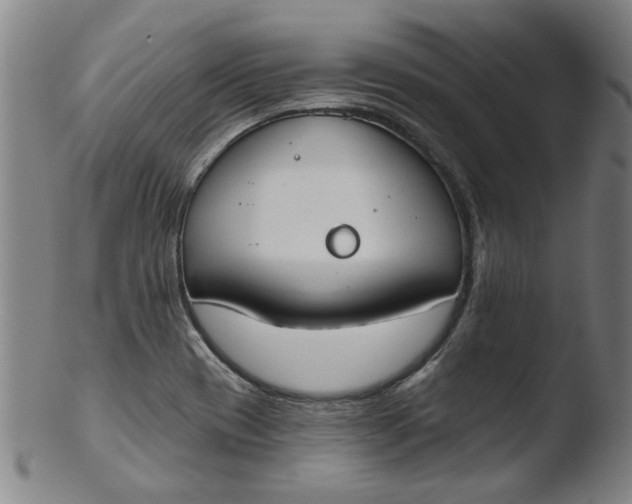 X0000103421417200809261656